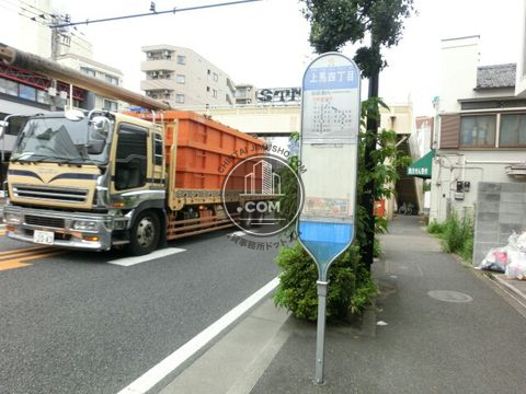 大通り