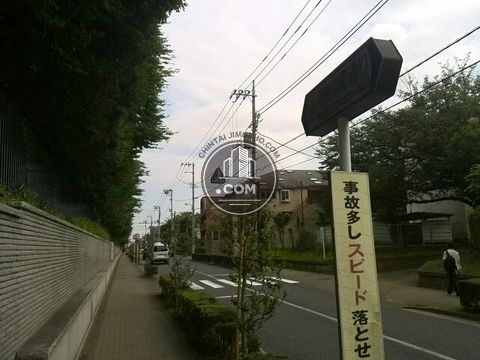 裏路地