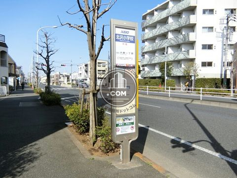大通り