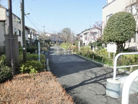 玉川上水第二緑道