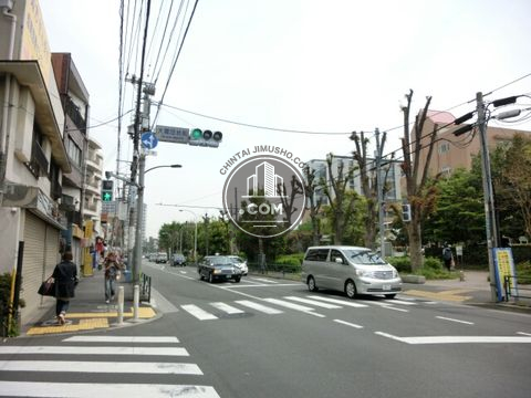 大通り