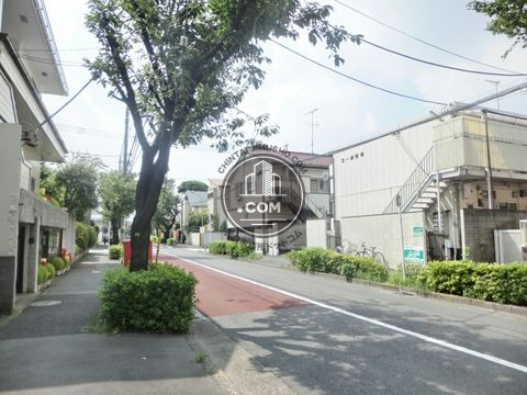 裏路地