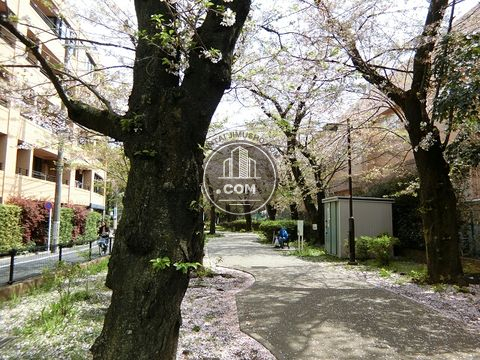 裏路地