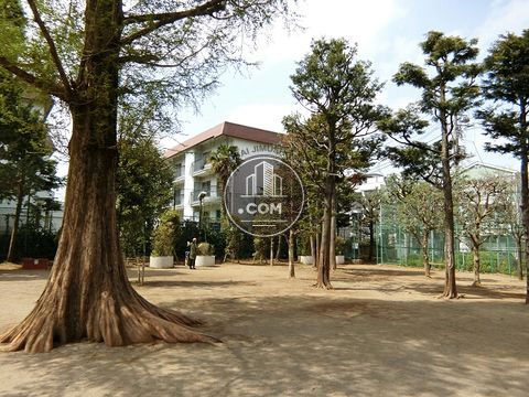 裏路地
