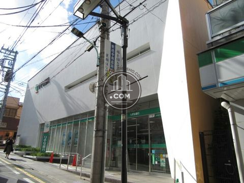 大通り