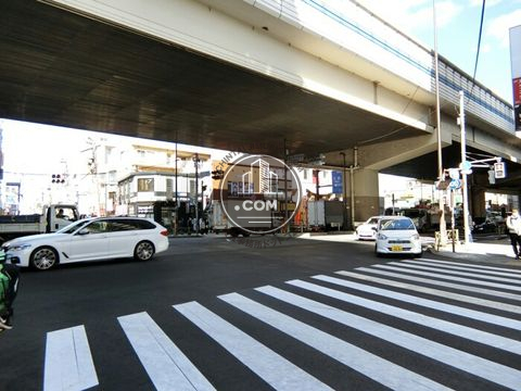 大通り