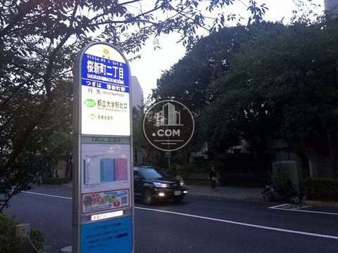 大通り