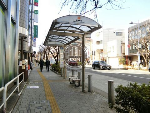 大通り