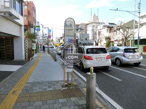 大通り
