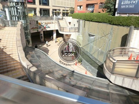 大通り