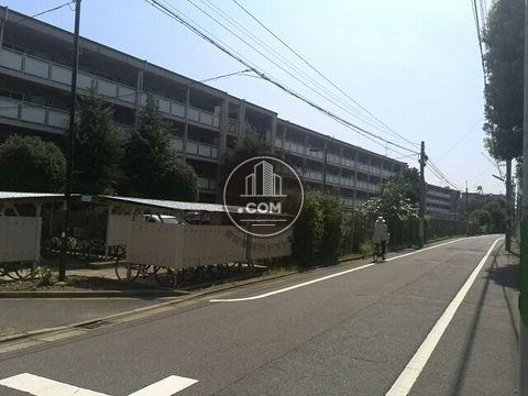 裏路地