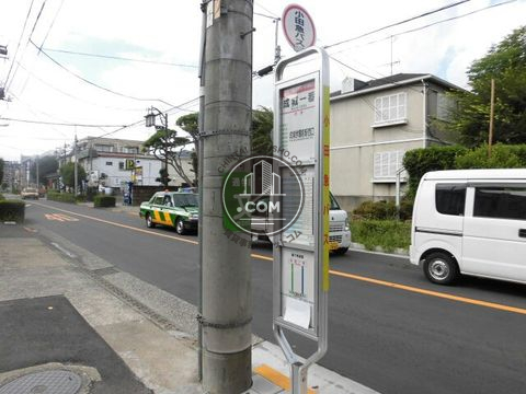 大通り