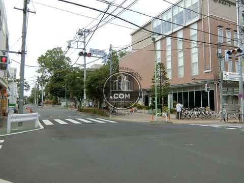 大通り