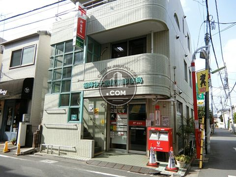大通り