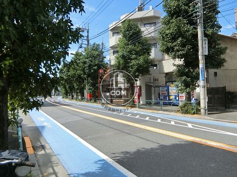 大通り