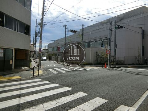 大通り