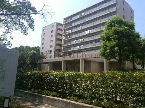 太子堂一丁目マンション地帯です