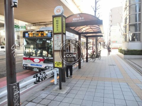 大通り