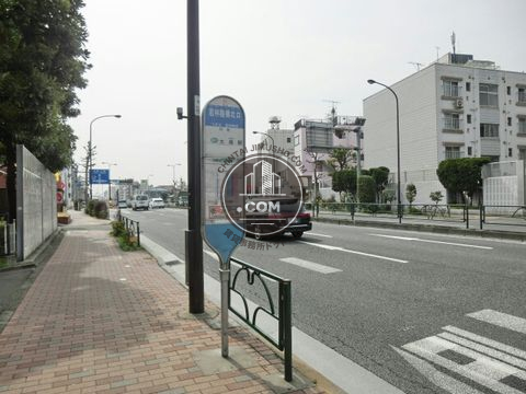 大通り