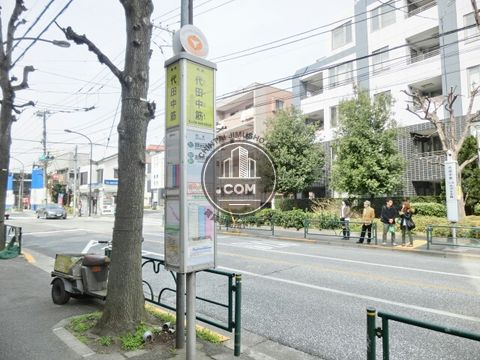 大通り