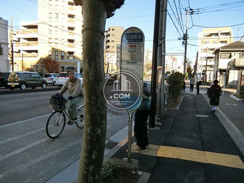 大通り