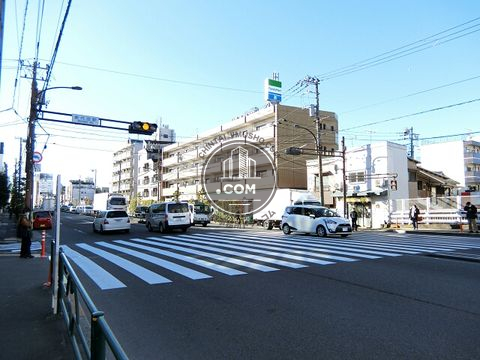 大通り