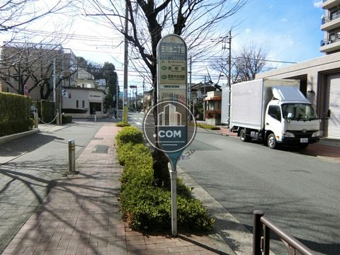 大通り