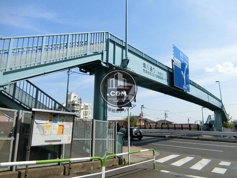 大通り