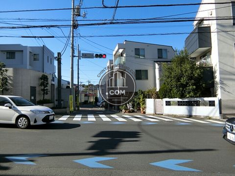大通り