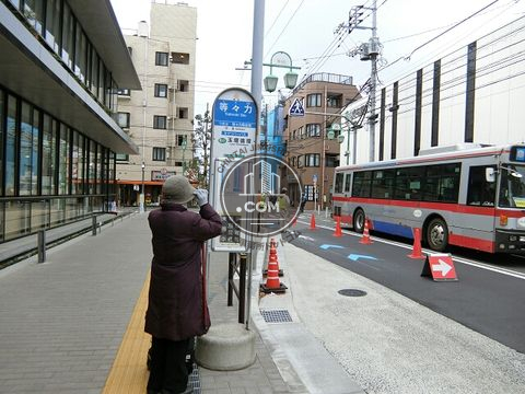 大通り