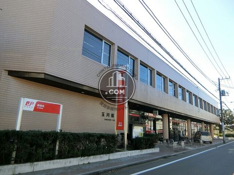 大通り