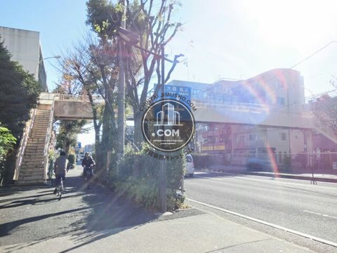 大通り