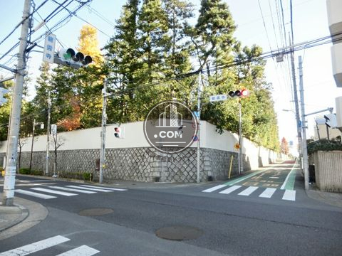 大通り