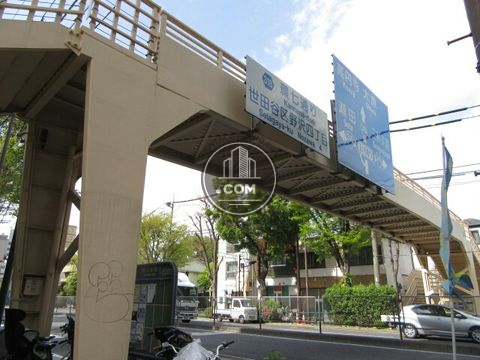 大通り
