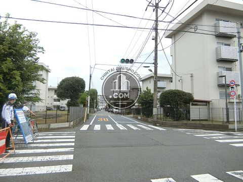 大通り