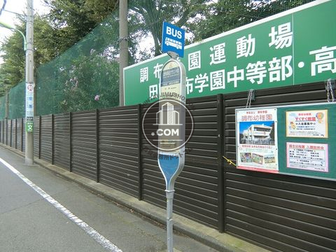 大通り