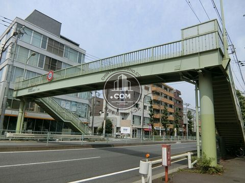 大通り