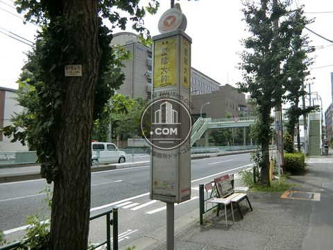 大通り