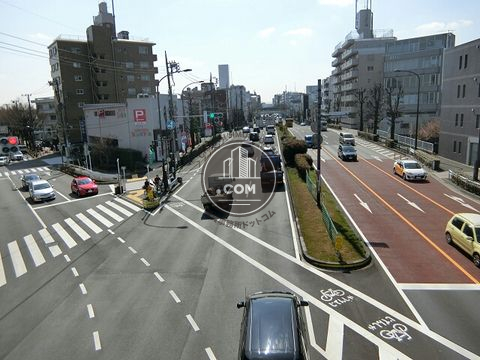 大通り