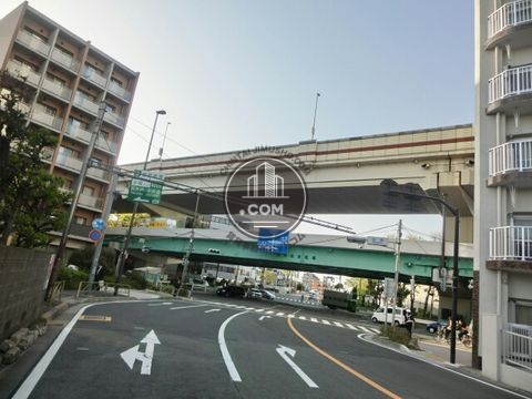 大通り