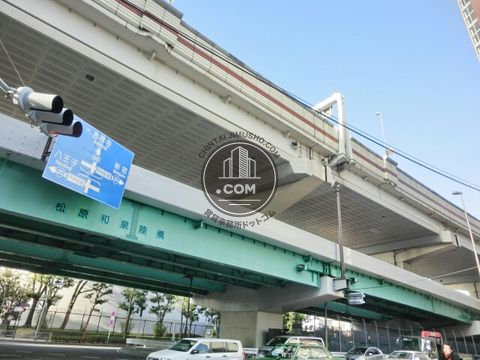 大通り