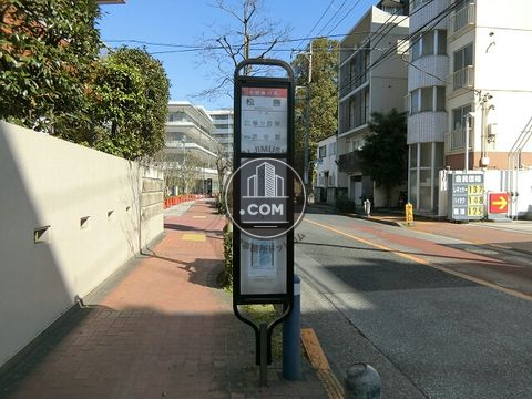大通り