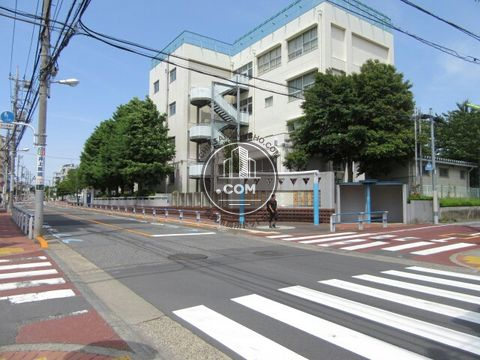 大通り