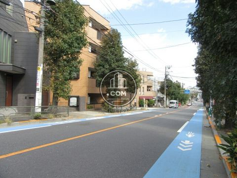 大通り