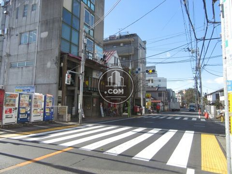大通り