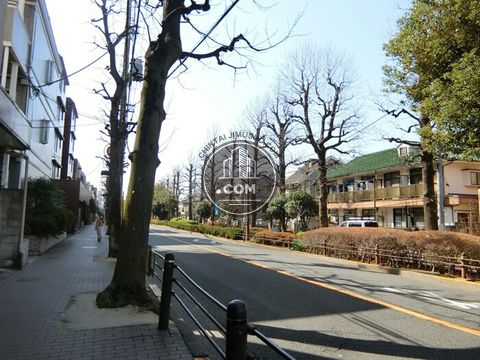 大通り