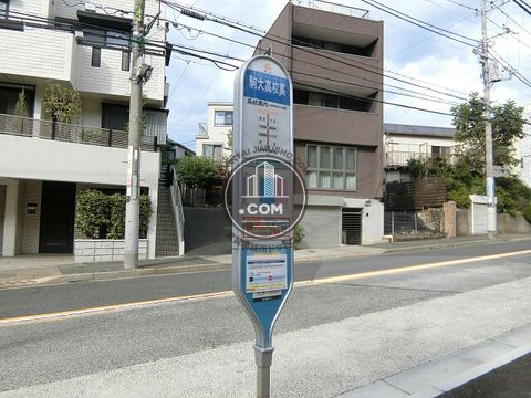 大通り