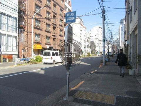 大通り