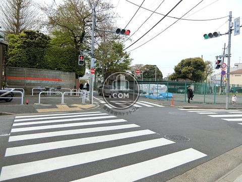 大通り