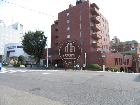 大通り